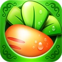 �����ܲ�����